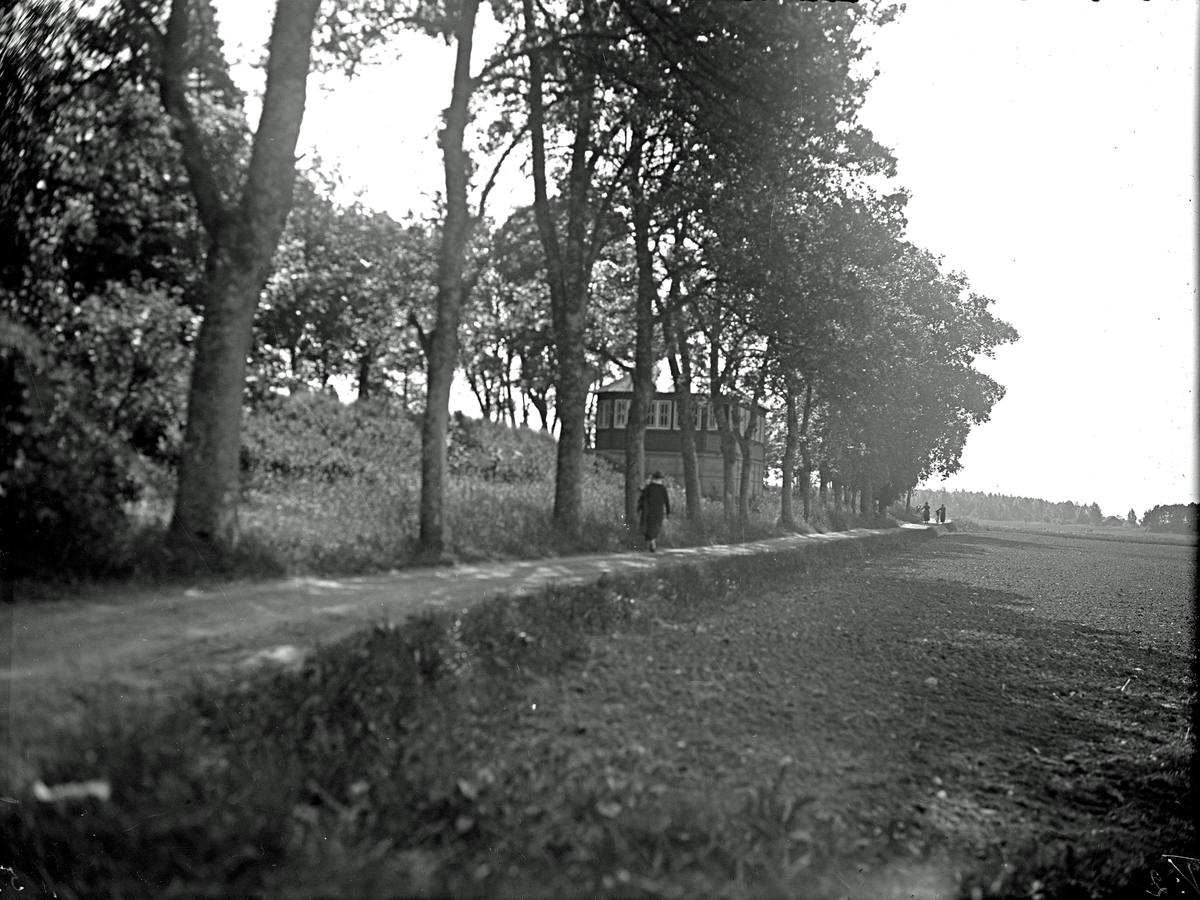 Ellert Johan Viktor Sörman, Johannisdal. Photographer E Sörman.
