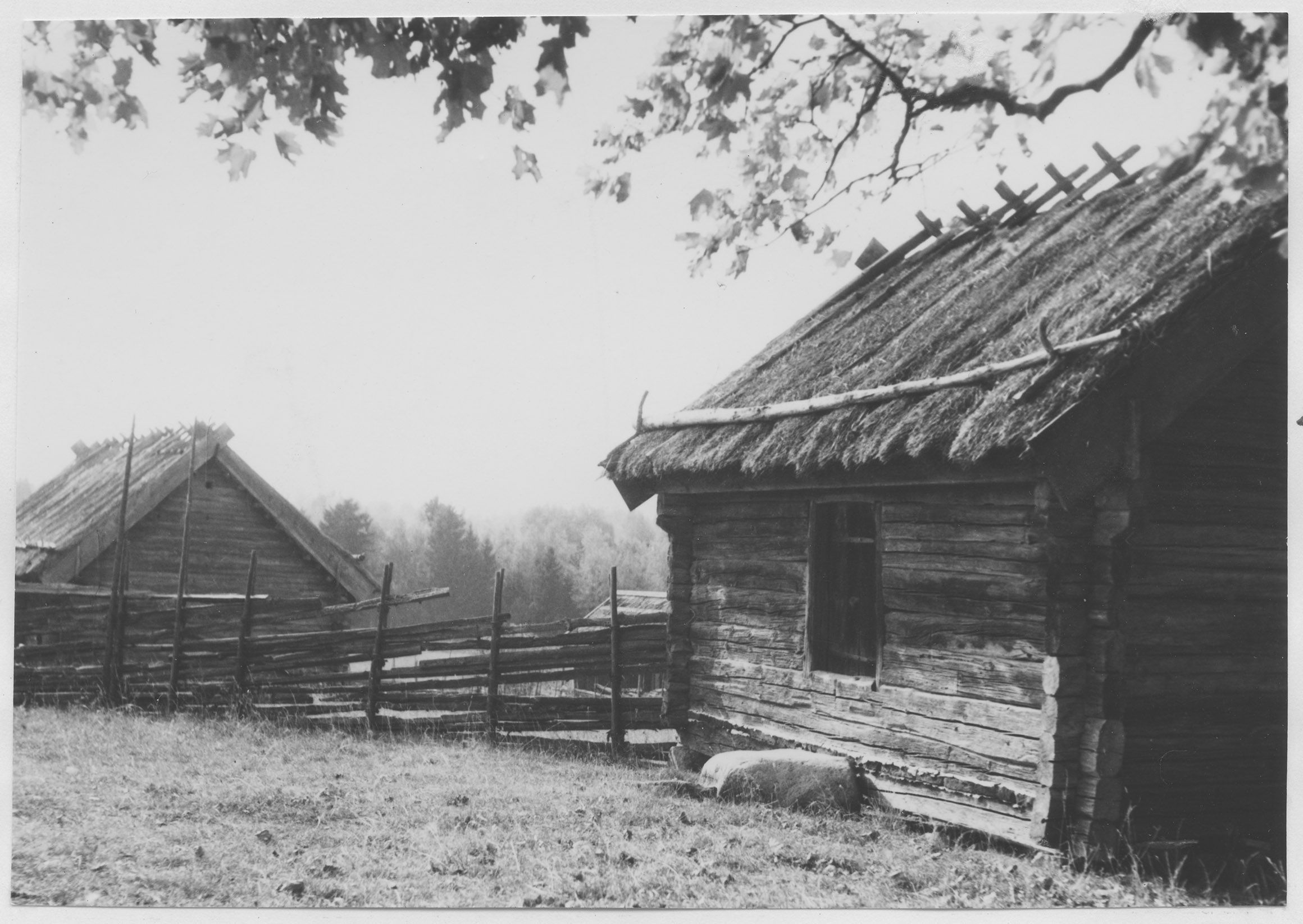 Mårten Sjöbeck, Stora Kvek