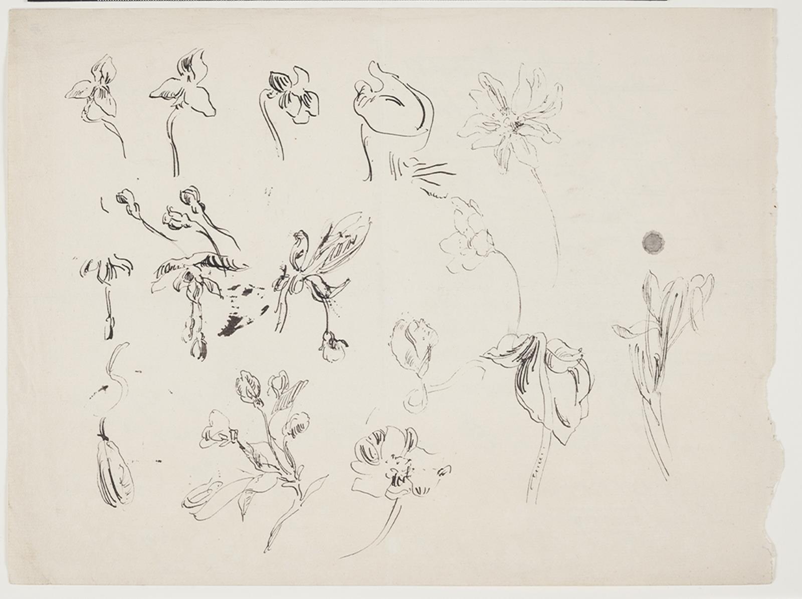 J.A. Jerichau (II), Blomsterskitser
