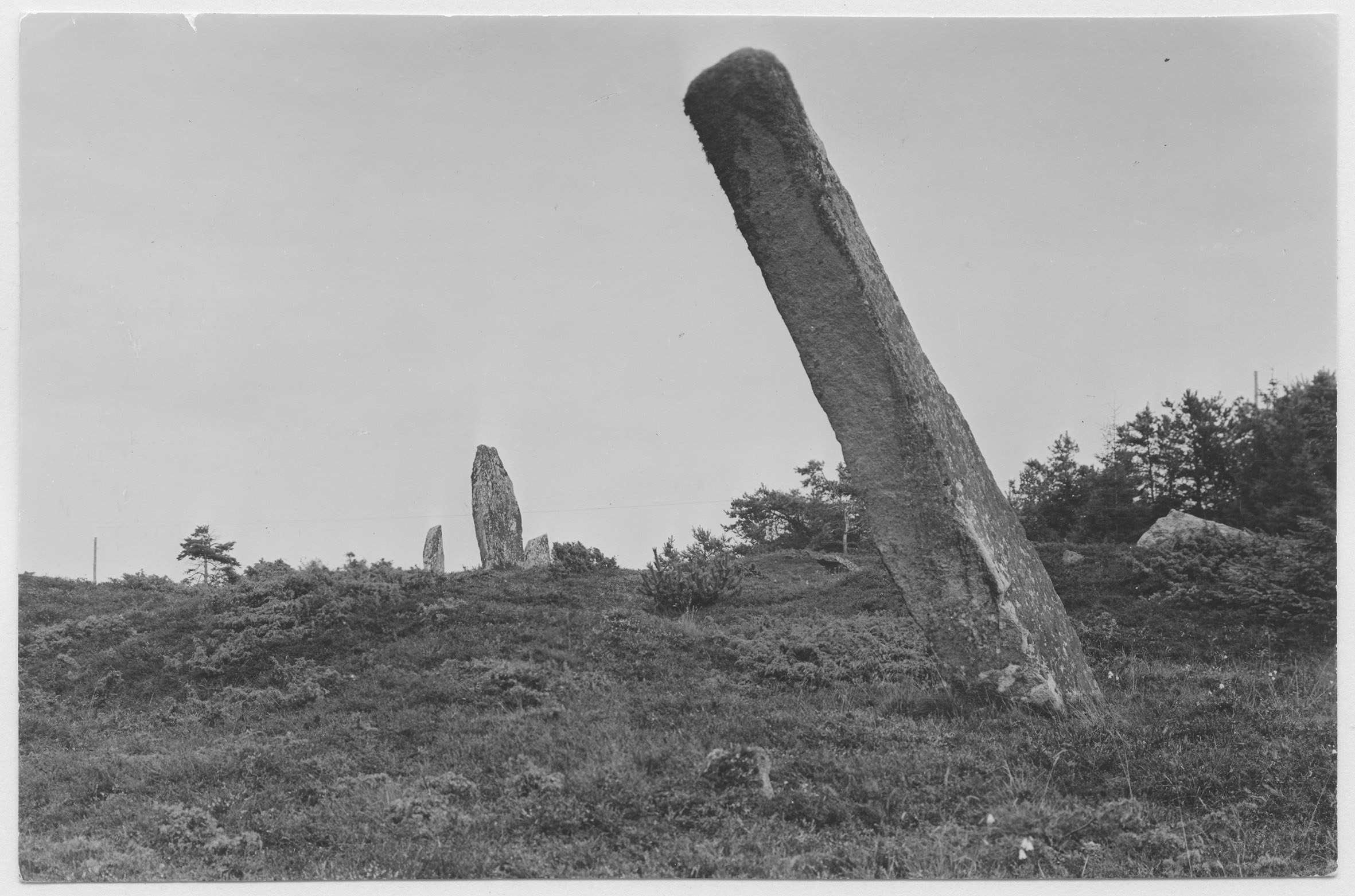 Mårten Sjöbeck, Tanum 734:1
