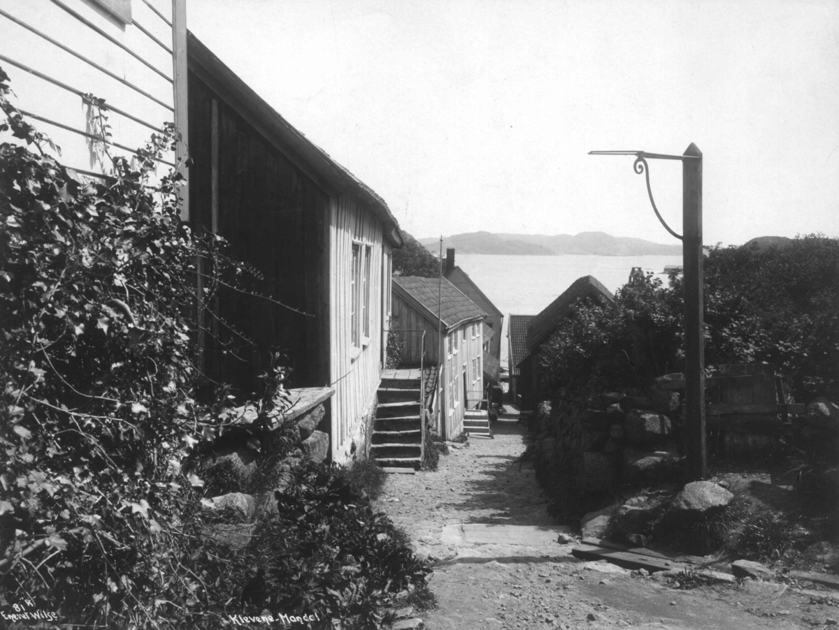 Anders Beer Wilse, Mandal 1