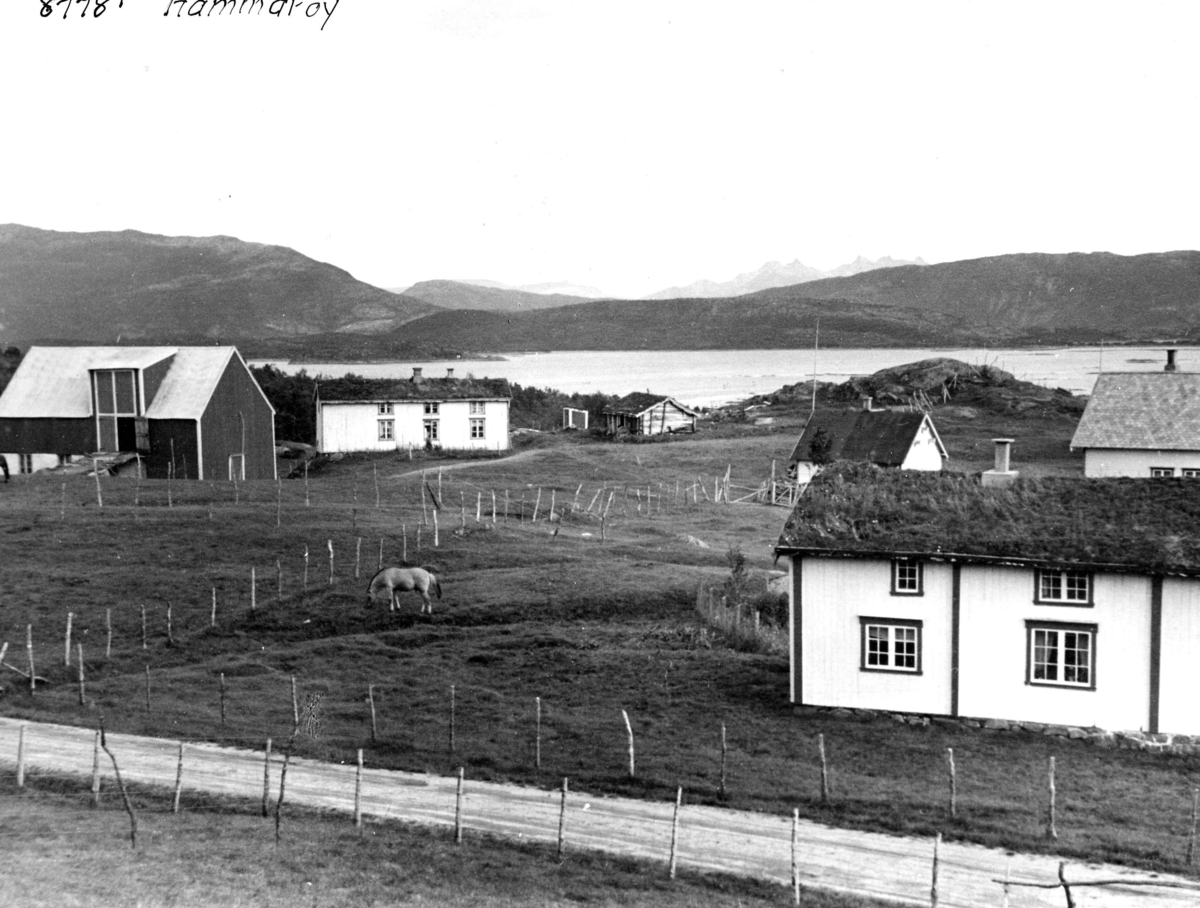 Anders Beer Wilse, Topografi
