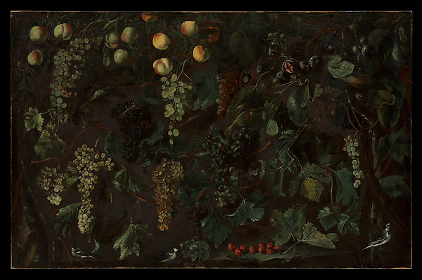 Bartolomeo Cavarozzi, Grape Vines and Fruit, with Three Birds
