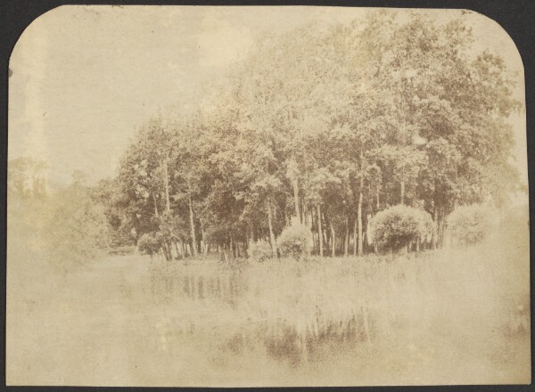 Unknown, [Landscape]