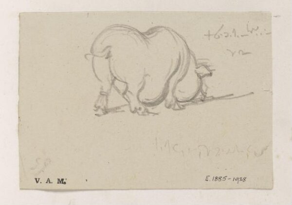 George Chinnery, A study of a pig