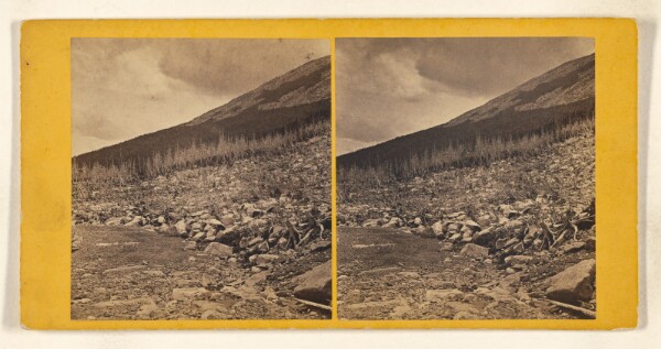John B. Heywood, Silver Forest, Mt. Washington. [White Mountain]