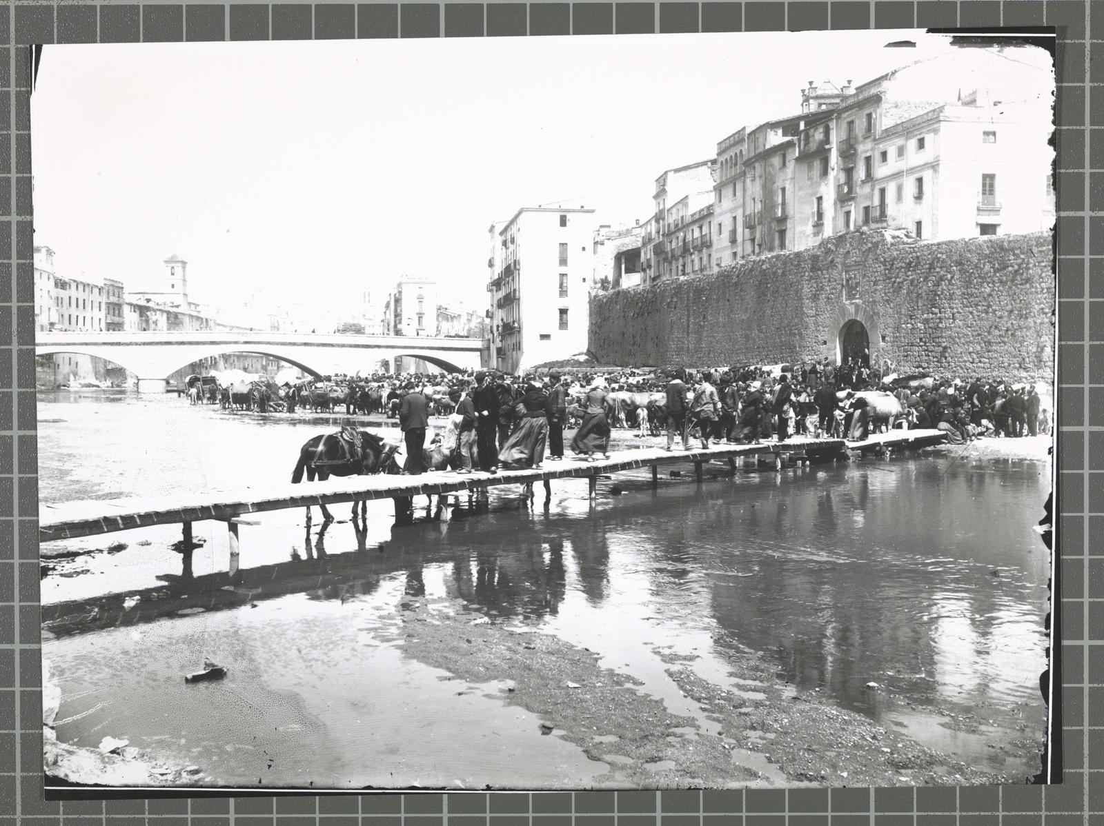 Amís Unal Alá, Areny Market