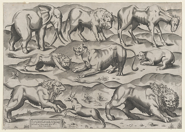 Anonymous, Wild Animals, from antique wall paintings, plate 1, from "Speculum Romanae Magnificentiae"