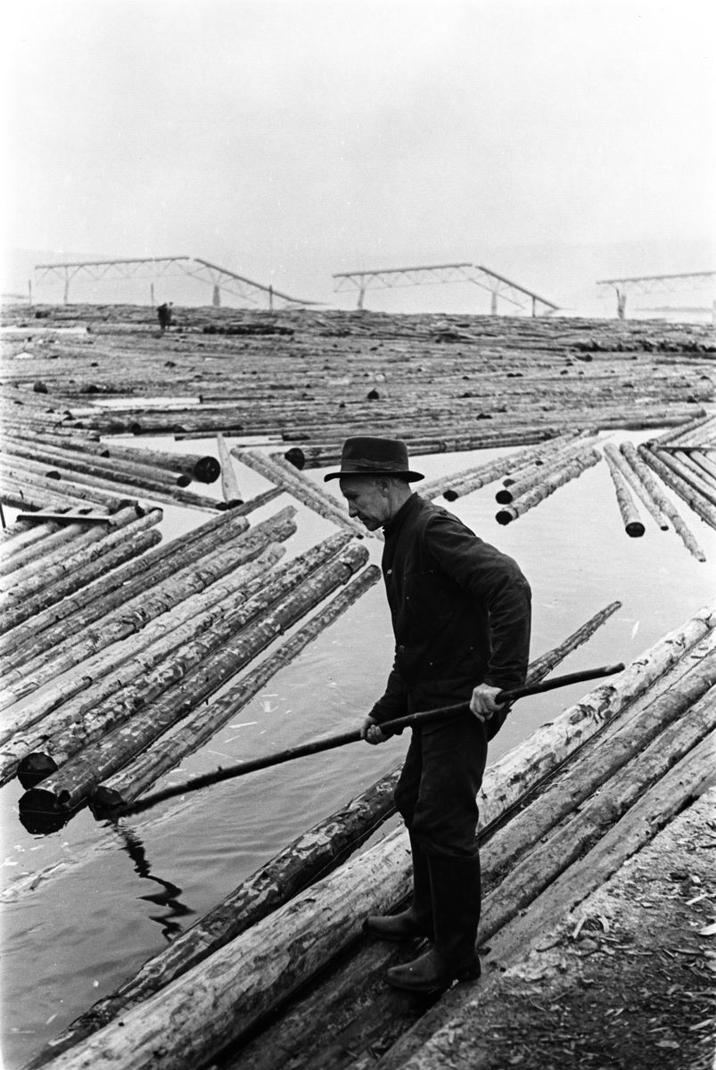 Anders Beer Wilse, Prot: En flöter