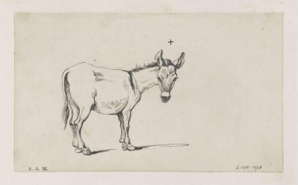George Chinnery, A donkey