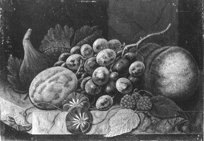 Diëgo Lopez Suasso, Vruchten
