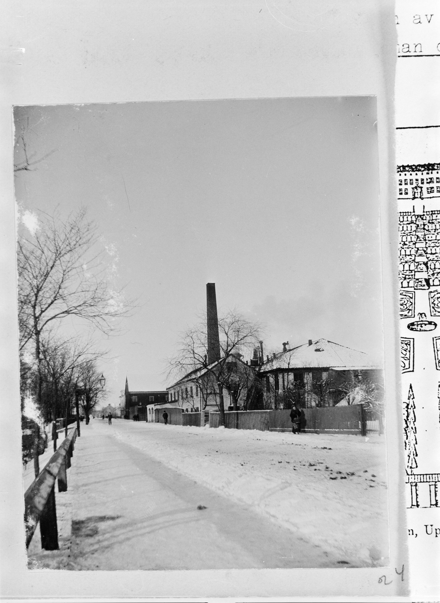 Carl Liljefors, Upsala Ångqvarns Aktiebolags Bränneri- och Pressjästfabrik, kvarteret Edda, Svartbäcken, Uppsala 1900 - 1901