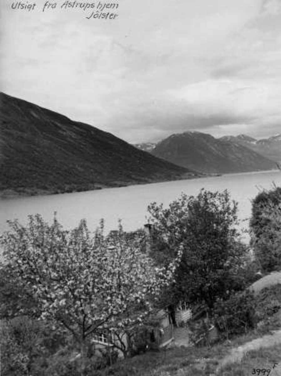 Anders Beer Wilse, -6642
