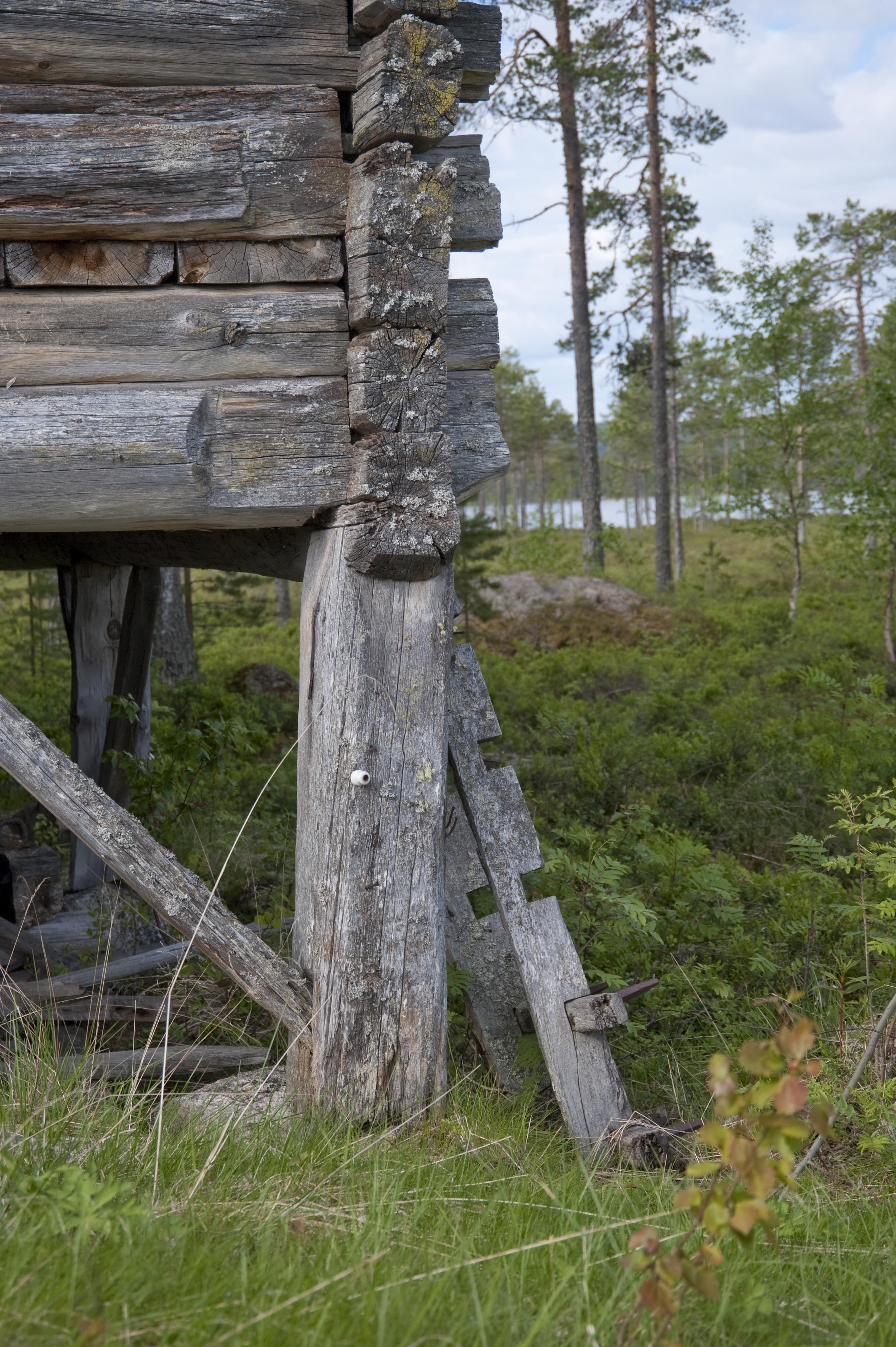 Bengt A Lundberg, Ljusdal Fågelsjö 1:1