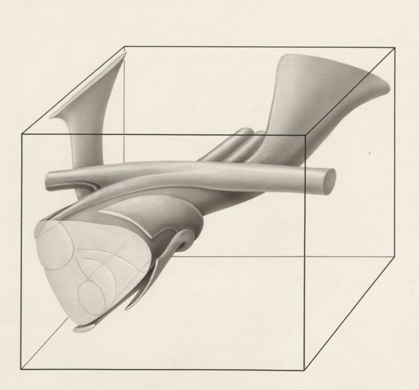 J Tinkelenberg, Part of the neuroanatomical system