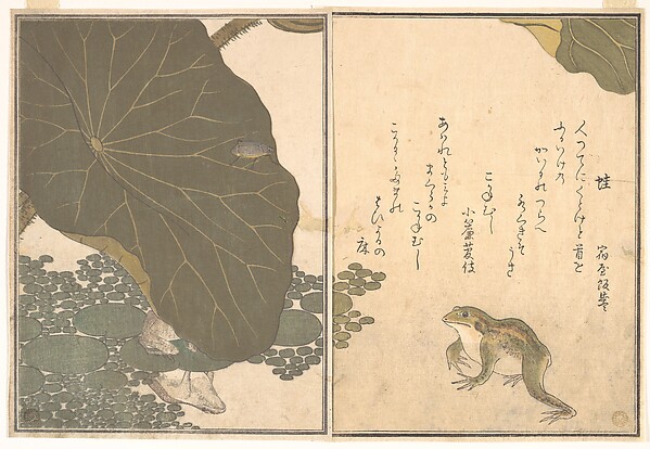 Kitagawa Utamaro, Frog (Kaeru); Gold Beetle (Kogane mushi), from the Picture Book of Crawling Creatures (Ehon mushi erami)