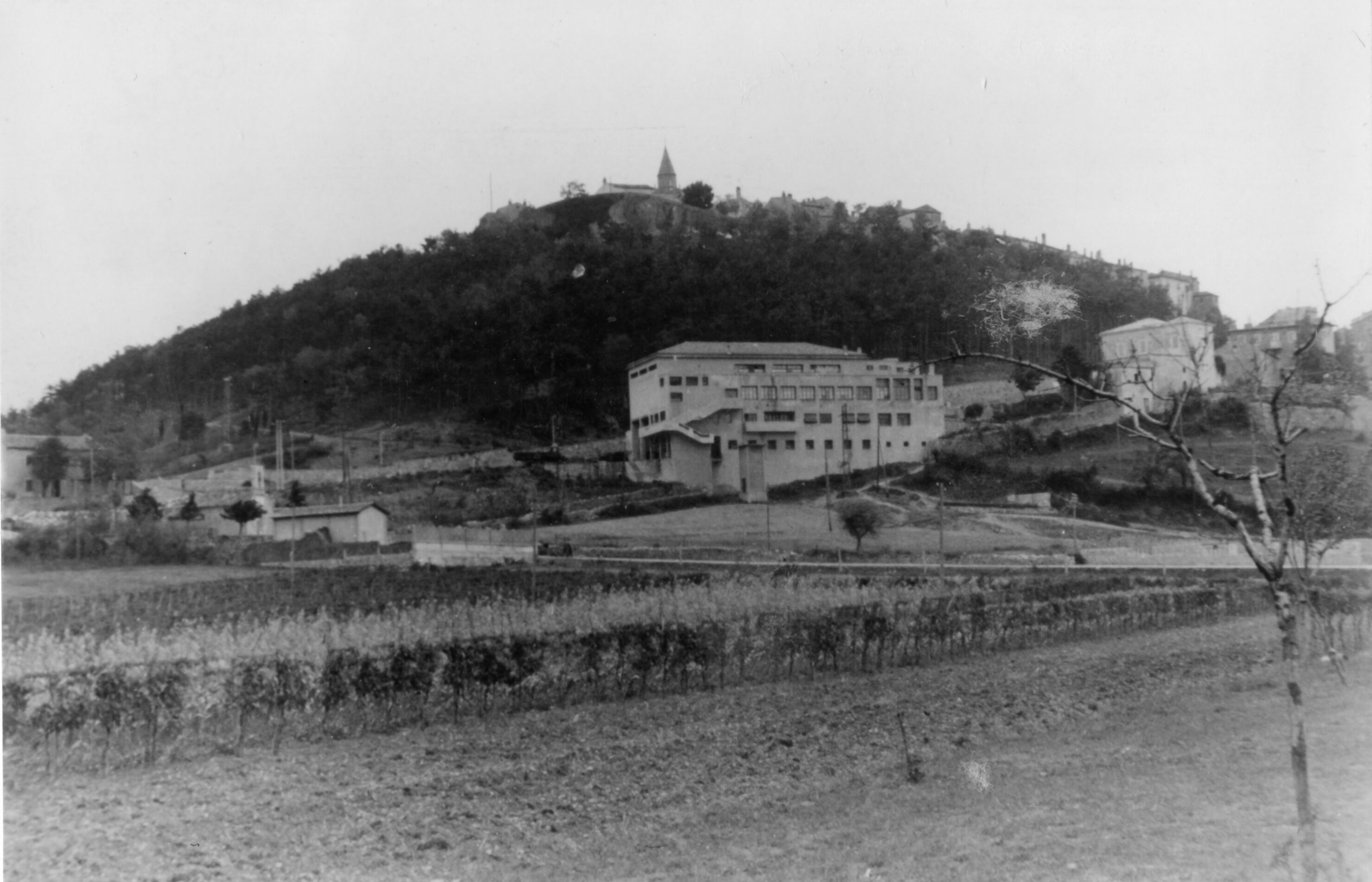 Branko Fučić, Labin, panorama