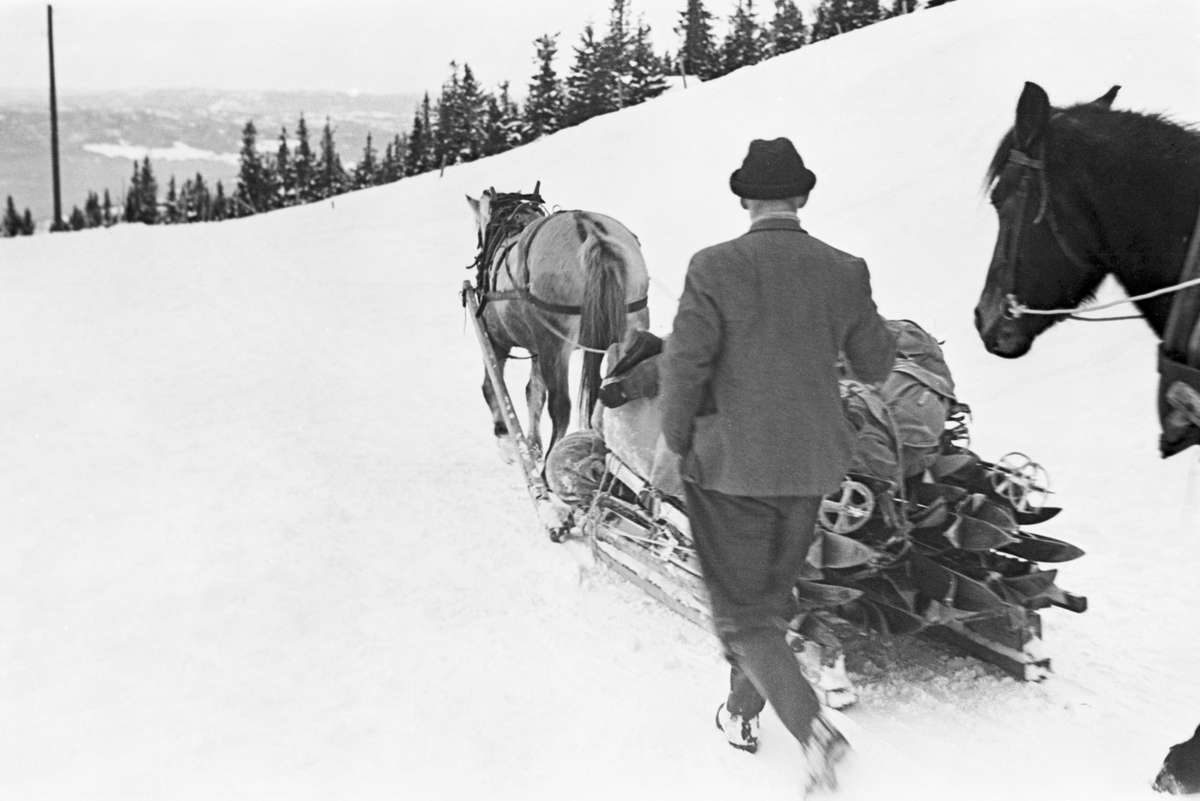 Anders Beer Wilse, Prot: Bagasjen kjöres