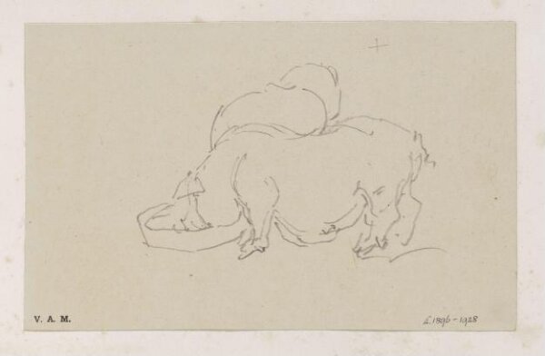 George Chinnery, Two pigs