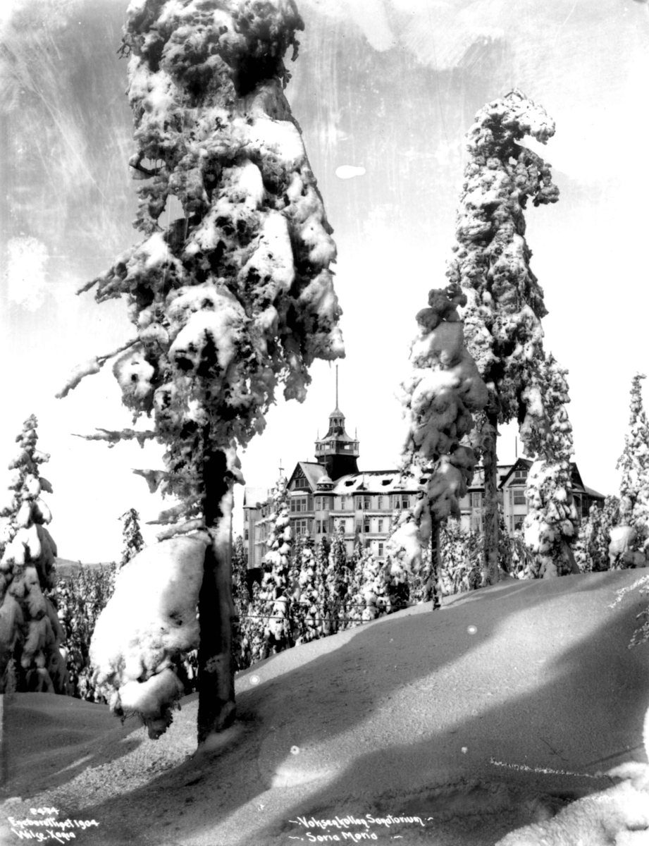 Anders Beer Wilse, Voksenkollen Sanatorium, Oslo 1904. Soria Moria. Bygningen sett mellom snøtunge trær.