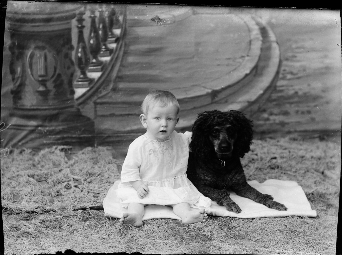 Skötsner-Edhlund, Ateljéporträtt - pojke och hund, Östhammar, Uppland