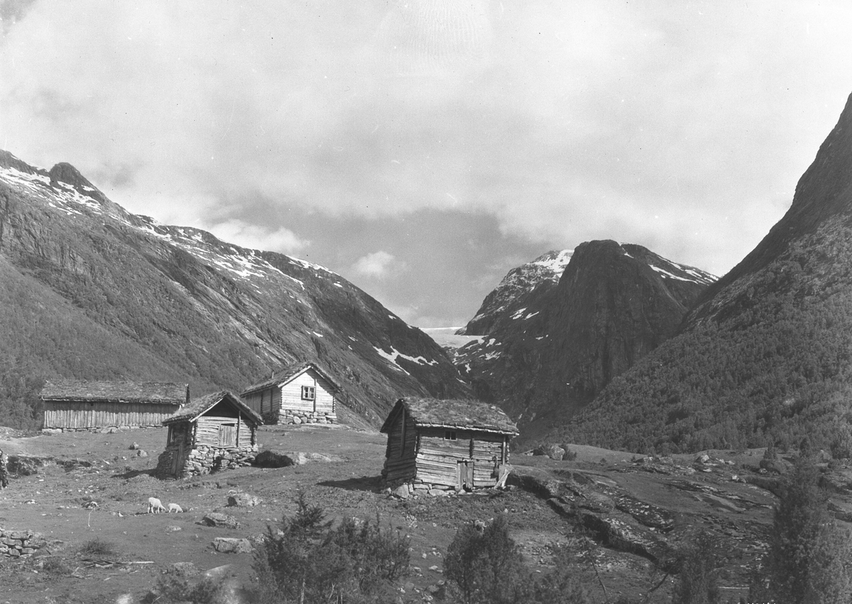 Anders Beer Wilse, Prot: Vetlefjord, Langehaug seter