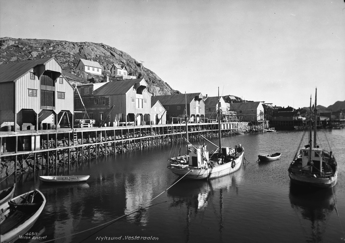 Anders Beer Wilse, Prot: Nyksund