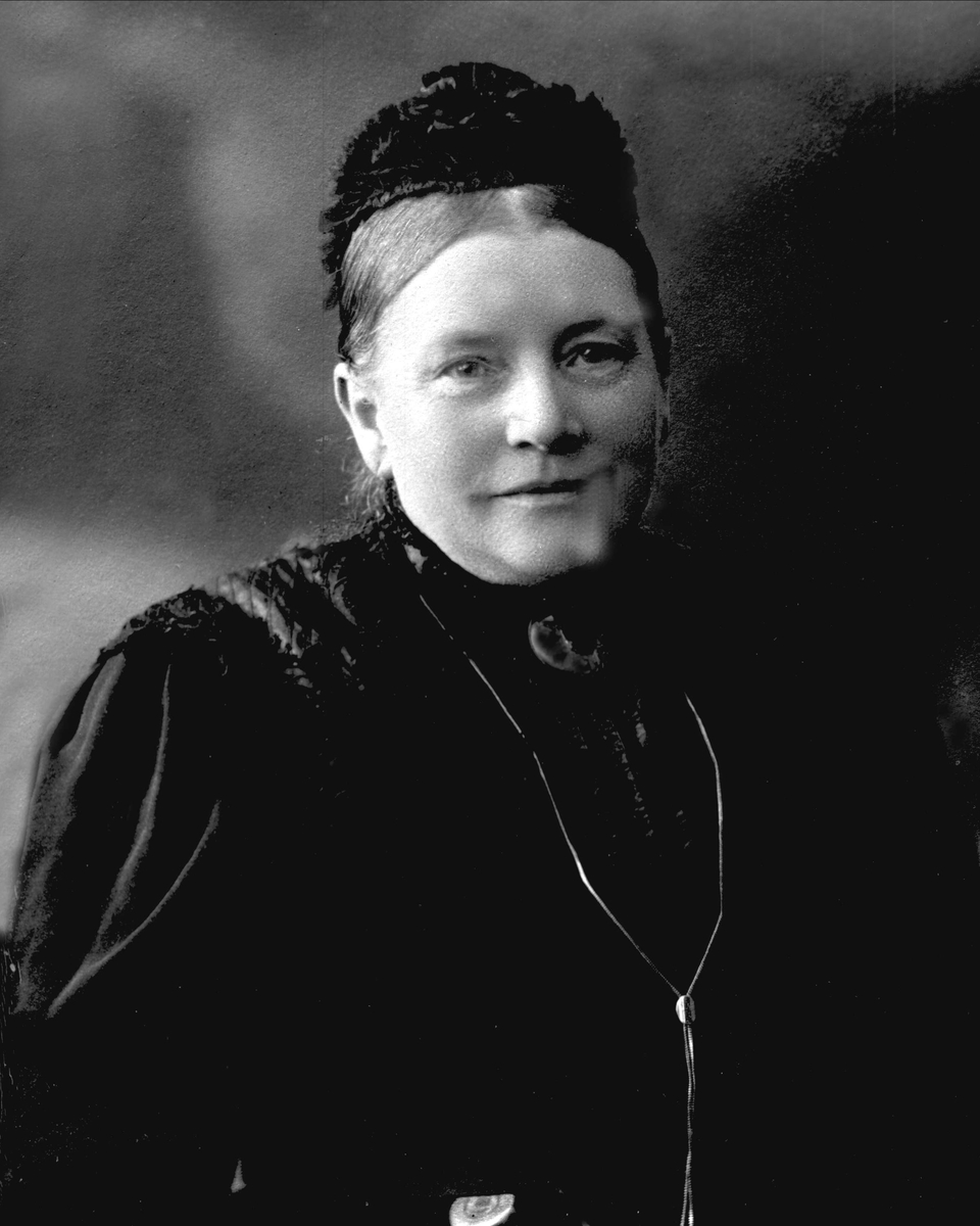 Gustav Borgen, NFB.03792