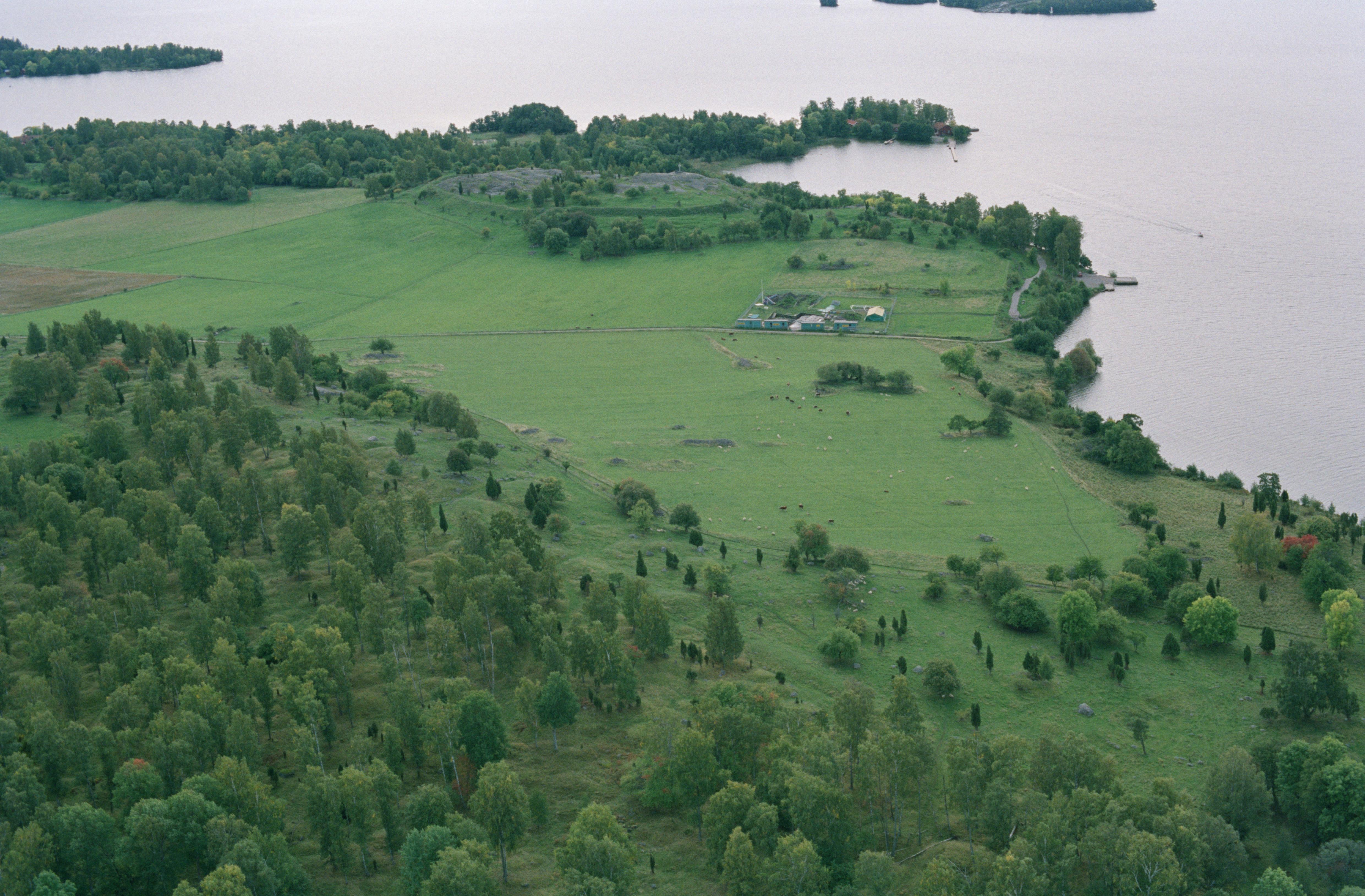 Jan Norrman, Adelsö 118:1