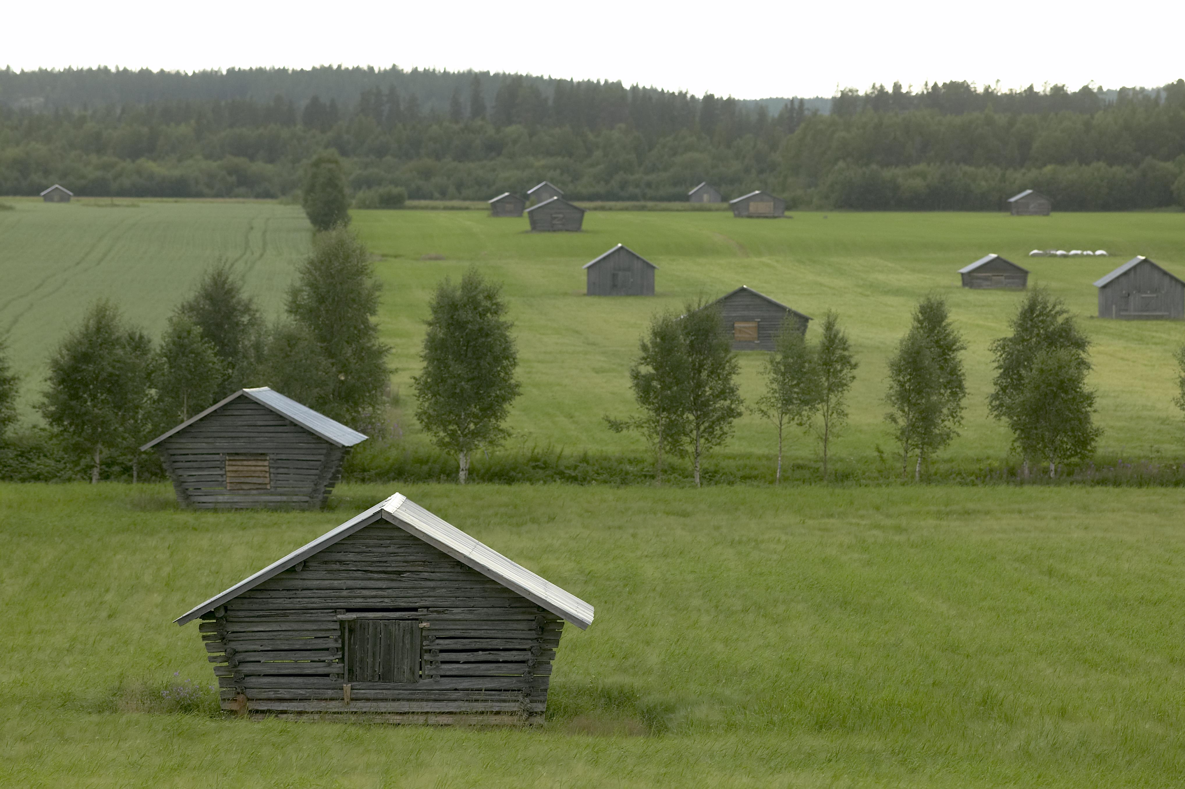 Bengt A Lundberg, Avan