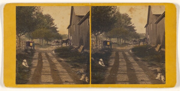 Unknown, [Country road with barn, dogs and cats about]