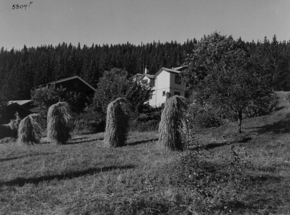 Anders Beer Wilse, Skredsvigs hjem