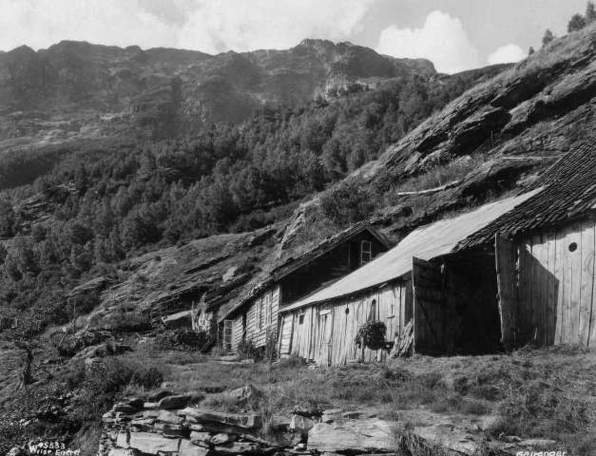 Anders Beer Wilse, -6356