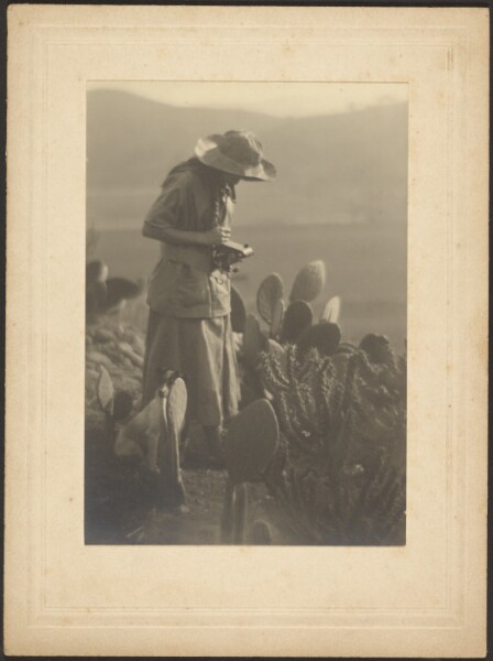 Louis Fleckenstein, [Woman Making Notes on Cacti]