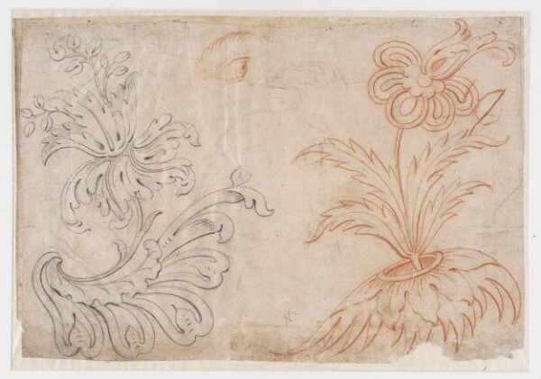 unknown, Drawing