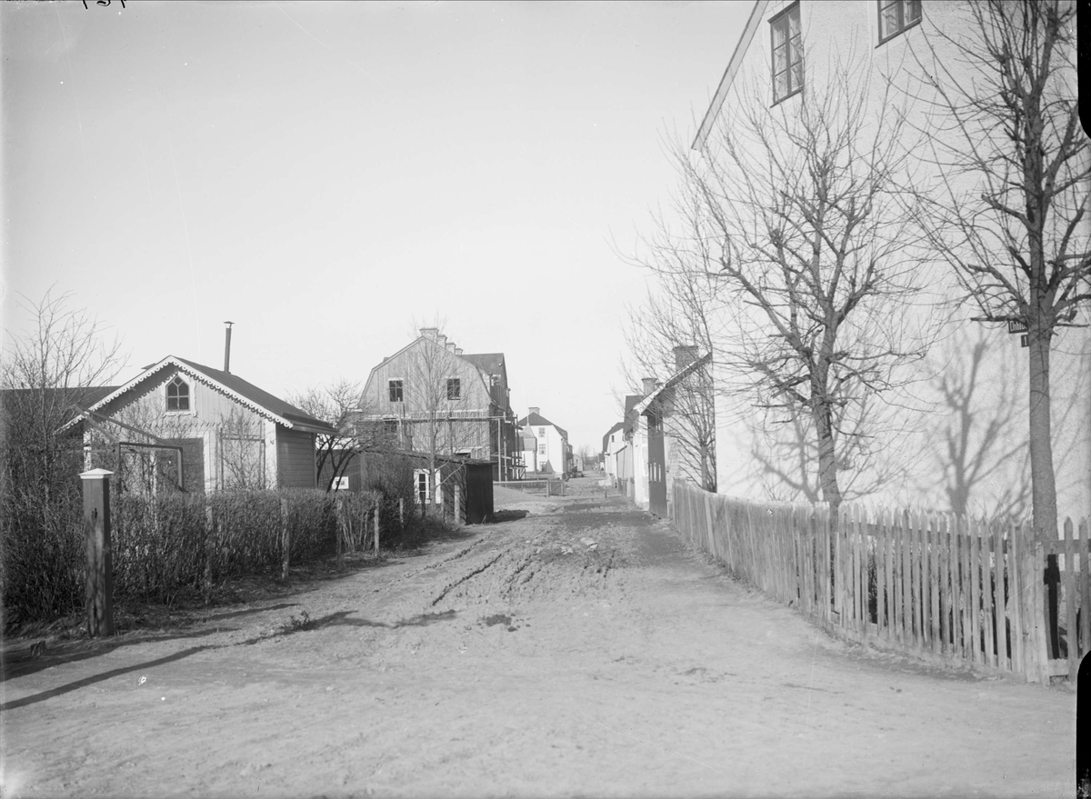 Alfred Dahlgren, Dalgatan - Börjegatan, Luthagen, Uppsala 1908