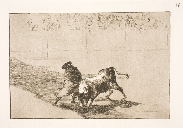 Francisco de Goya, Den meget talentfulde elev fra Falces, hyldet i sin kappe, narrer tyren med sin krops bevægelser