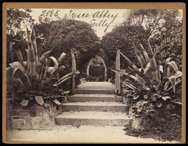 Francis Frith, Photograph