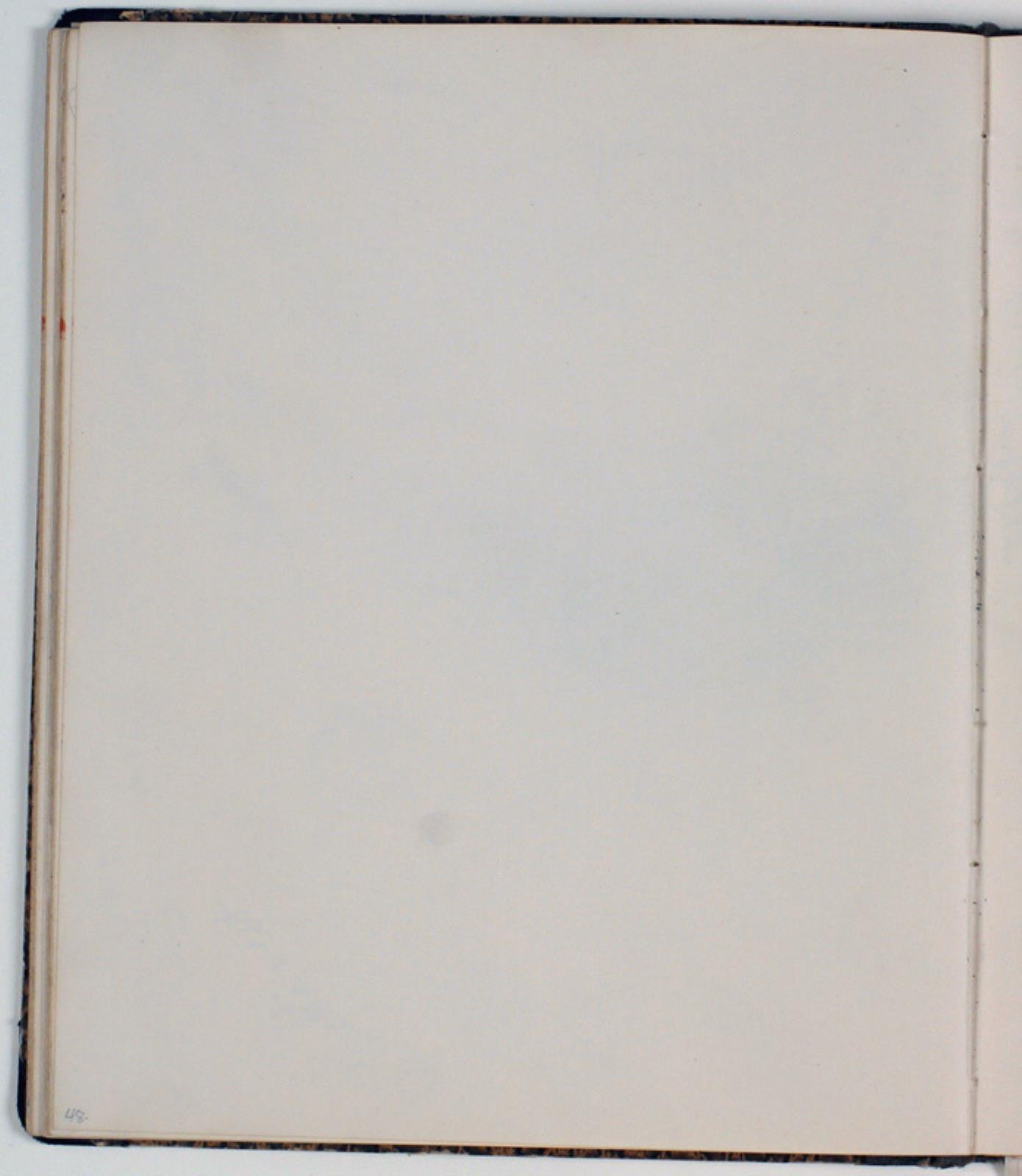 Niels Larsen Stevns, Blank