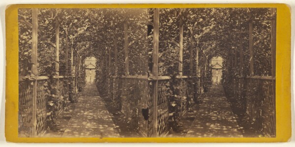 Edward and Henry T. Anthony & Co., The Residence of Morris Ketchum, Esq., Westport, Conn. Interior of the Grapery.