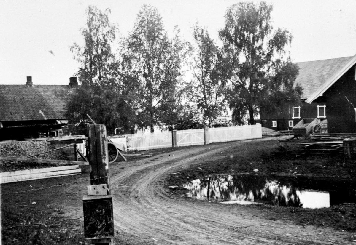 Anno Domkirkeodden, Gardstunet på Øvre Sund, Helgøya.