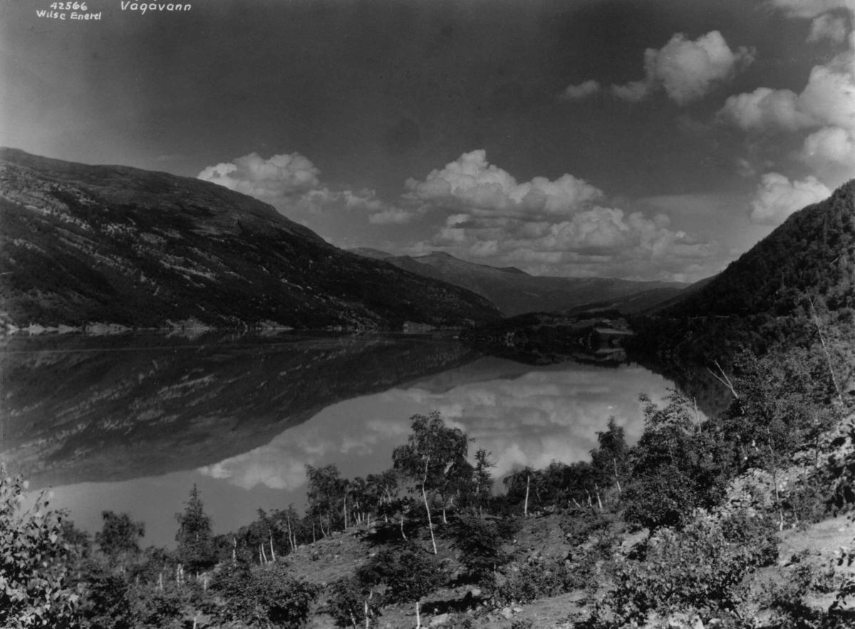 Anders Beer Wilse, Oversiktsbilde, Vågåvann