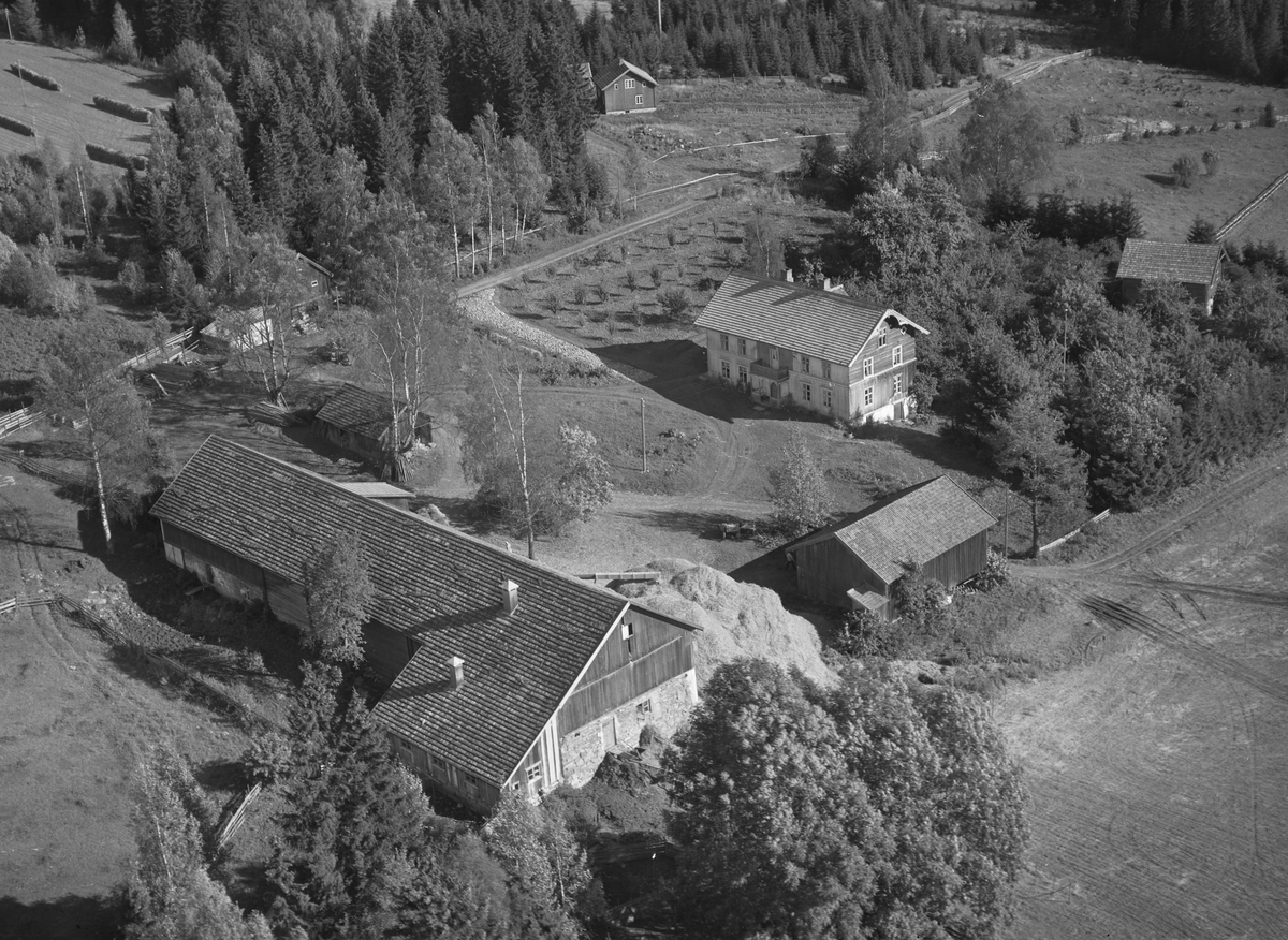 Anno Domkirkeodden, Flyfoto, gardsbruk, Svartshoel, Nes, Hedmark.