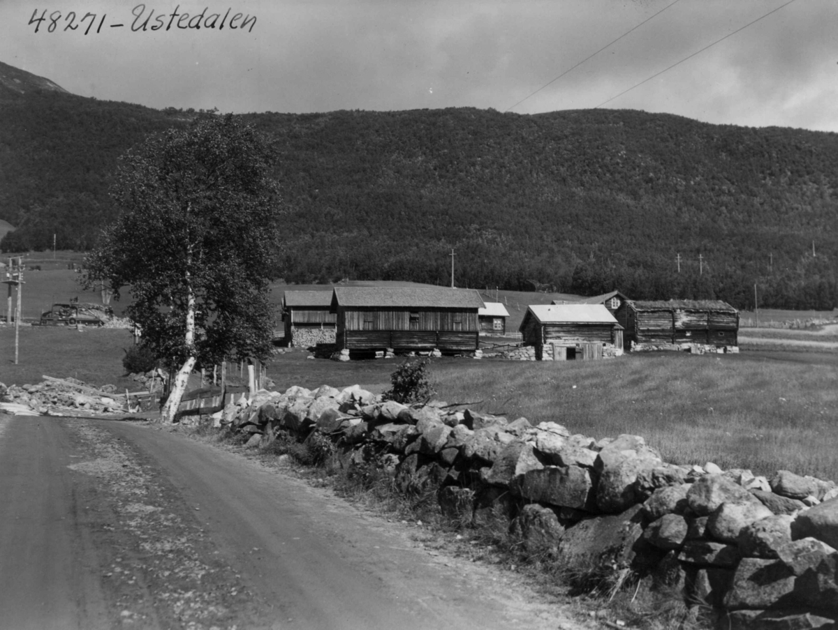 Anders Beer Wilse, Ustedalen, Bebyggelse
