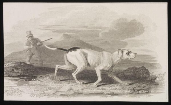 Unknown, Print