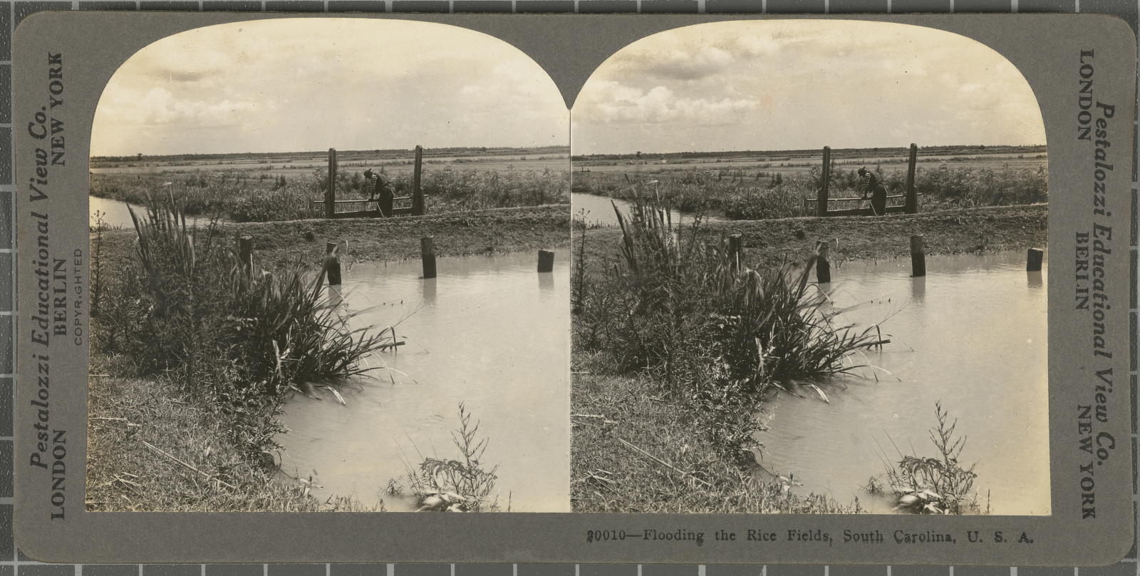 Desconegut, Flooding the Rice Fields, South Carolina, U.S.A Pestalozzi Educational View Co.