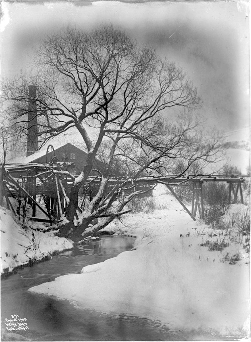 Anders Beer Wilse, Prot: Vinter - Loelven stort Piletre 1903