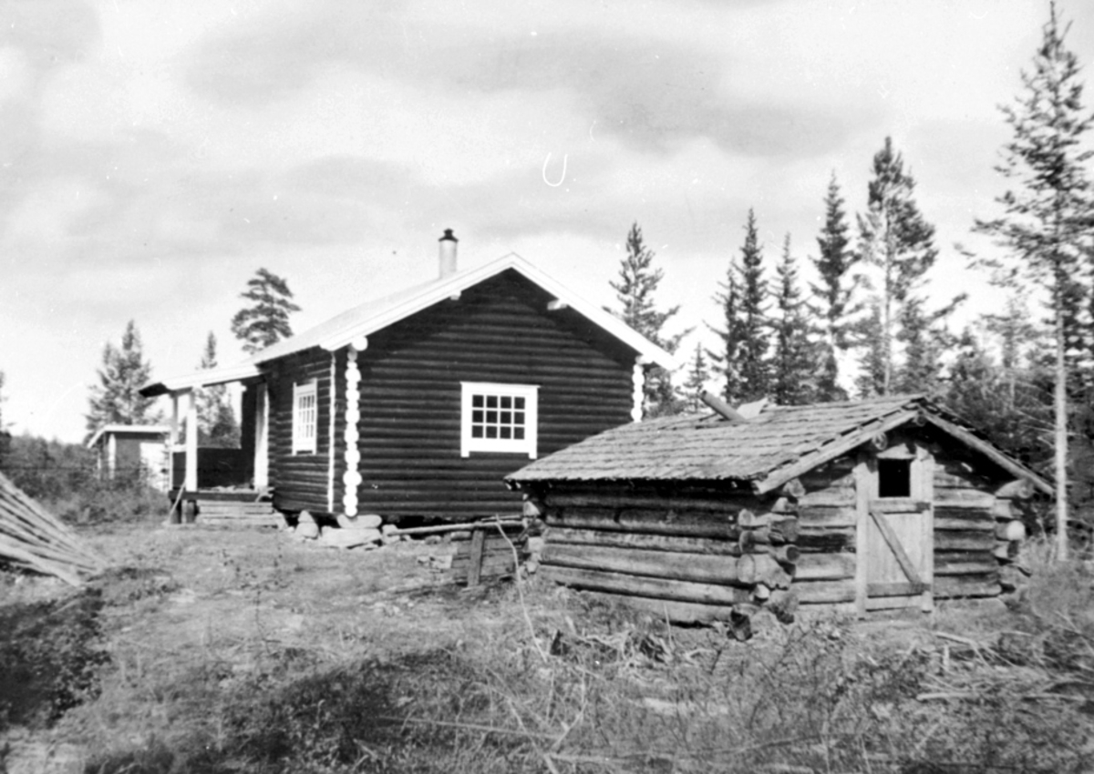 Anno Domkirkeodden, EKSTERIØR: ØSTMOKOIA, DEN GAMLE, DEN NYE,