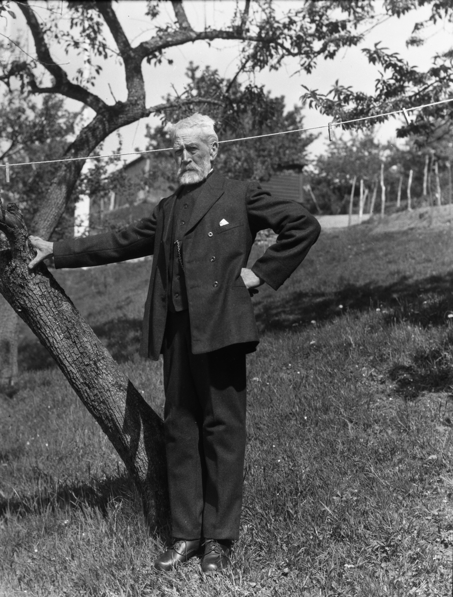 Anders Beer Wilse, Prot: Lofthus Haldor Eidnes 85 år forh ordfører