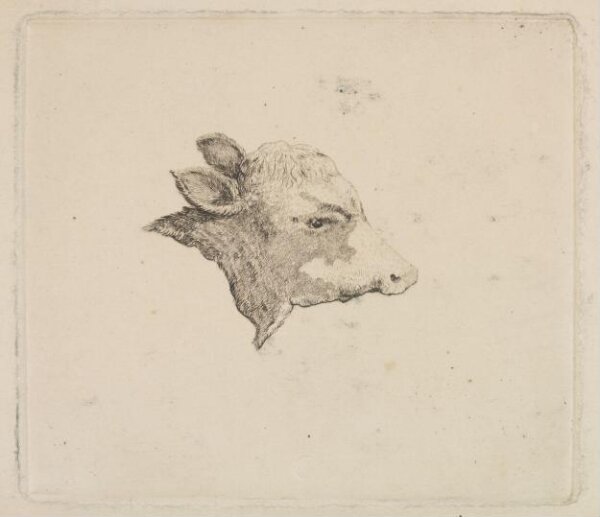 Unknown, Print